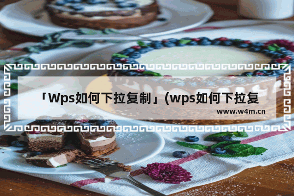 「Wps如何下拉复制」(wps如何下拉复制文字)