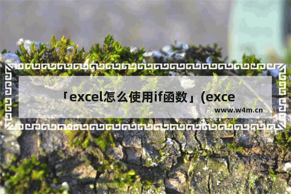 「excel怎么使用if函数」(excel怎么使用if函数评定等级)