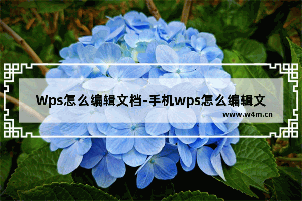 Wps怎么编辑文档-手机wps怎么编辑文档页眉