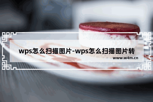 wps怎么扫描图片-wps怎么扫描图片转换成word