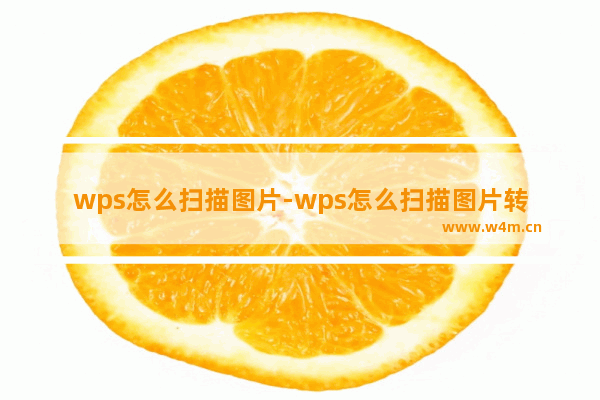 wps怎么扫描图片-wps怎么扫描图片转换成word