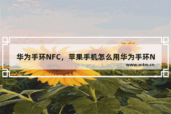 华为手环NFC，苹果手机怎么用华为手环NFC