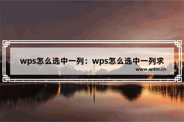 wps怎么选中一列：wps怎么选中一列求和