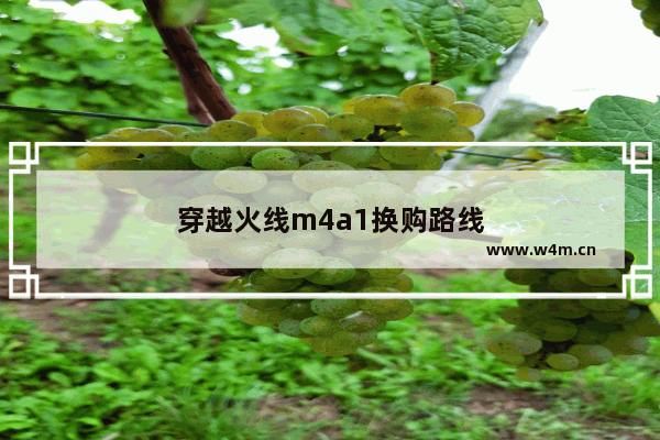 穿越火线m4a1换购路线