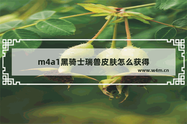 m4a1黑骑士瑞兽皮肤怎么获得