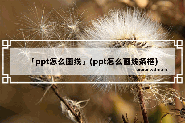 「ppt怎么画线」(ppt怎么画线条框)