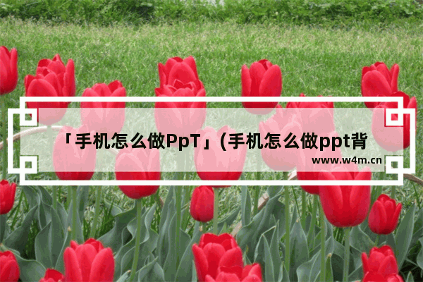 「手机怎么做PpT」(手机怎么做ppt背景图)