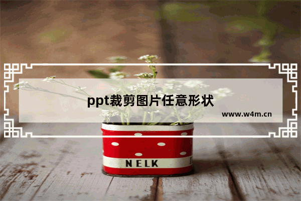 ppt裁剪图片任意形状