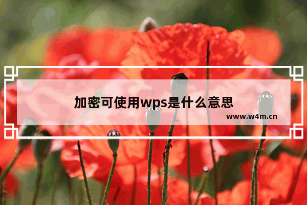 加密可使用wps是什么意思