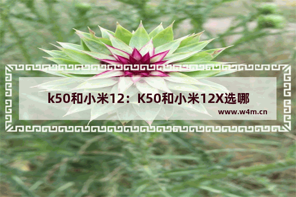 k50和小米12：K50和小米12X选哪个