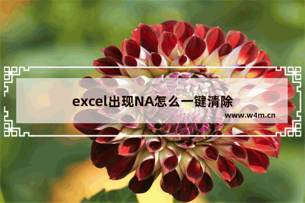 excel出现NA怎么一键清除