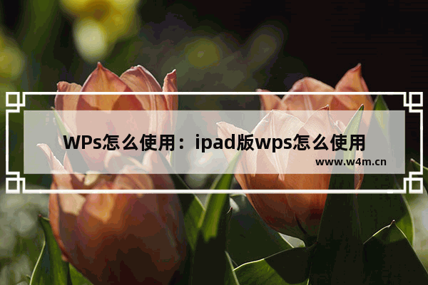 WPs怎么使用：ipad版wps怎么使用数据透视表