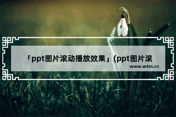 「ppt图片滚动播放效果」(ppt图片滚动播放效果怎么设置)