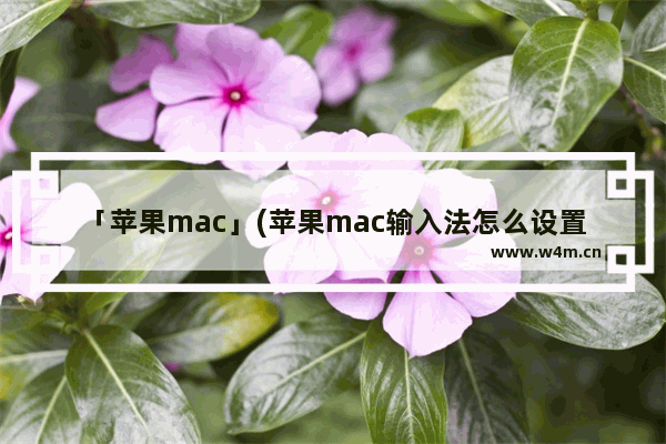 「苹果mac」(苹果mac输入法怎么设置)