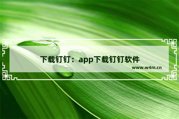 下载钉钉：app下载钉钉软件