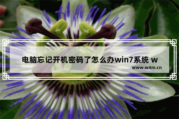 电脑忘记开机密码了怎么办win7系统 win7电脑忘记密码怎么办？