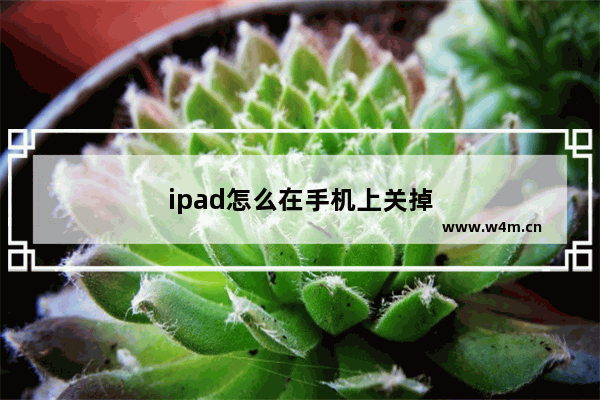 ipad怎么在手机上关掉