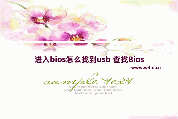 进入bios怎么找到usb 查找Bios中的USB设置