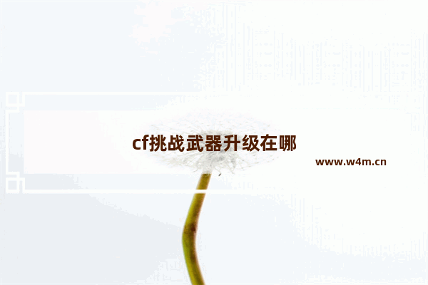 cf挑战武器升级在哪