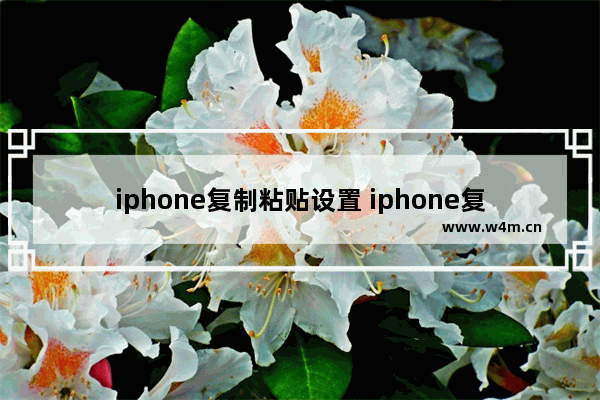 iphone复制粘贴设置 iphone复制粘贴设置不想保留原格式