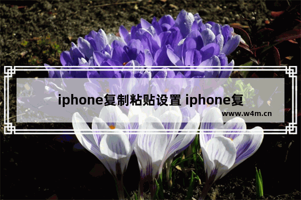 iphone复制粘贴设置 iphone复制粘贴设置不想保留原格式