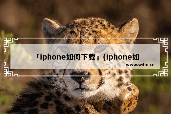 「iphone如何下载」(iphone如何下载b站视频)