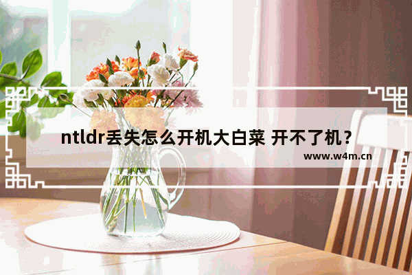 ntldr丢失怎么开机大白菜 开不了机？NTLDR丢失？看大白菜！