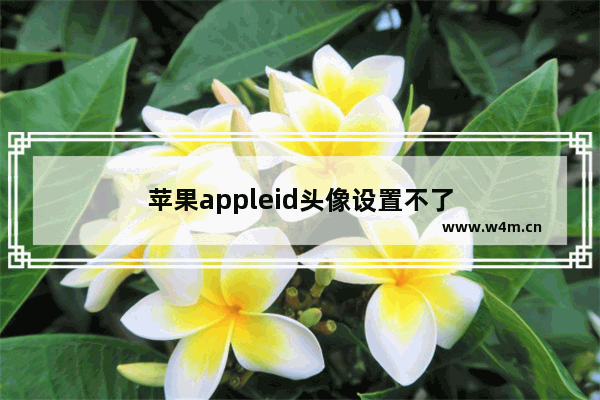 苹果appleid头像设置不了