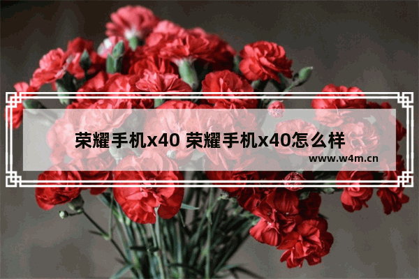 荣耀手机x40 荣耀手机x40怎么样