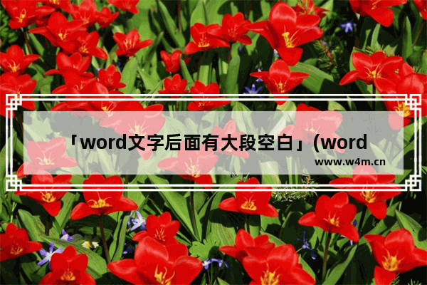 「word文字后面有大段空白」(word文字后面有大段空白下一行不上去)