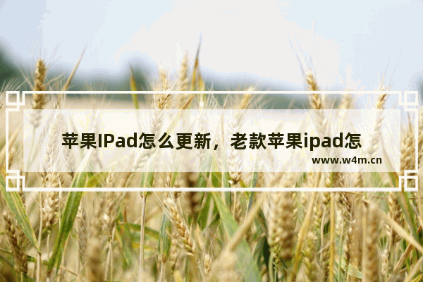 苹果IPad怎么更新，老款苹果ipad怎么更新