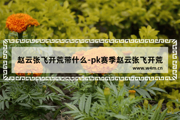 赵云张飞开荒带什么-pk赛季赵云张飞开荒带什么技能