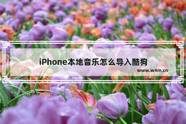 iPhone本地音乐怎么导入酷狗