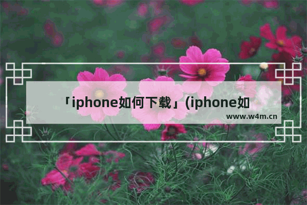 「iphone如何下载」(iphone如何下载b站视频)