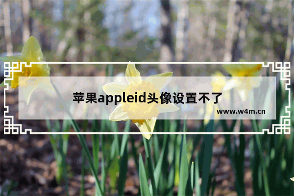 苹果appleid头像设置不了