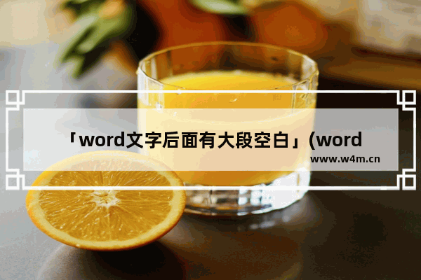 「word文字后面有大段空白」(word文字后面有大段空白下一行不上去)