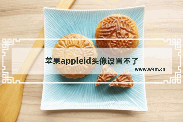 苹果appleid头像设置不了