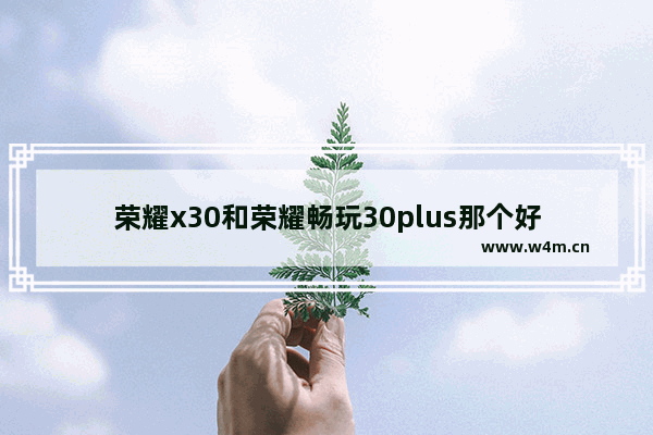 荣耀x30和荣耀畅玩30plus那个好