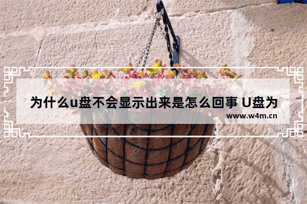 为什么u盘不会显示出来是怎么回事 U盘为何无法显示？