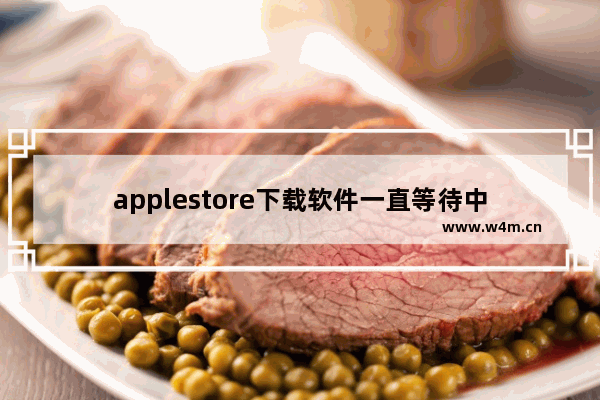 applestore下载软件一直等待中