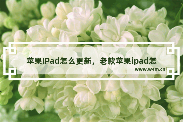 苹果IPad怎么更新，老款苹果ipad怎么更新