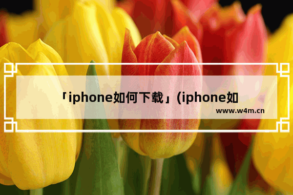 「iphone如何下载」(iphone如何下载b站视频)