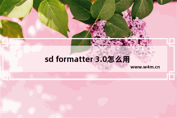 sd formatter 3.0怎么用 SD卡格式化器3.0的使用方法