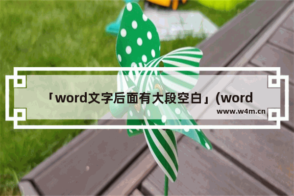 「word文字后面有大段空白」(word文字后面有大段空白下一行不上去)