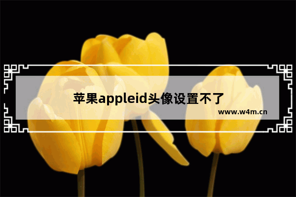 苹果appleid头像设置不了