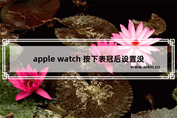 apple watch 按下表冠后设置没了