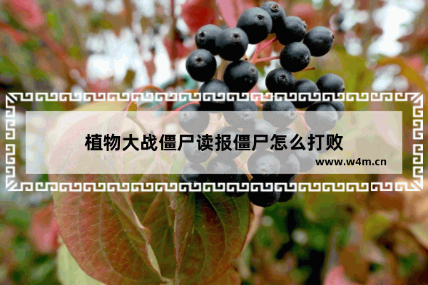 植物大战僵尸读报僵尸怎么打败