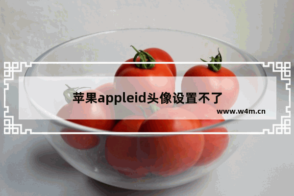 苹果appleid头像设置不了