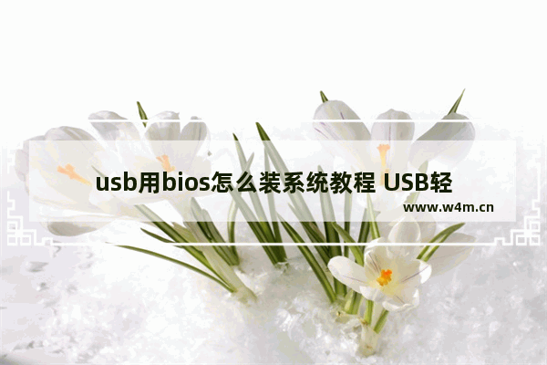 usb用bios怎么装系统教程 USB轻松装系统，BIOS教程！