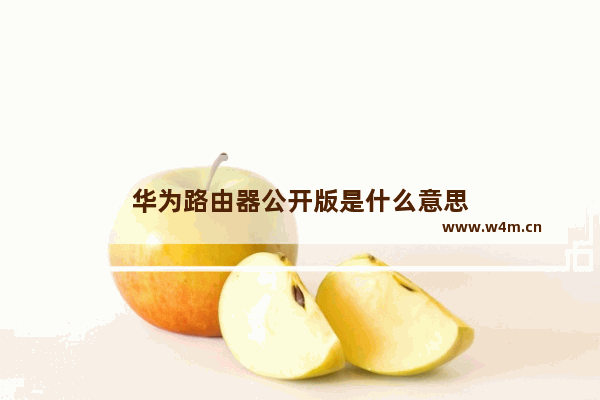 华为路由器公开版是什么意思